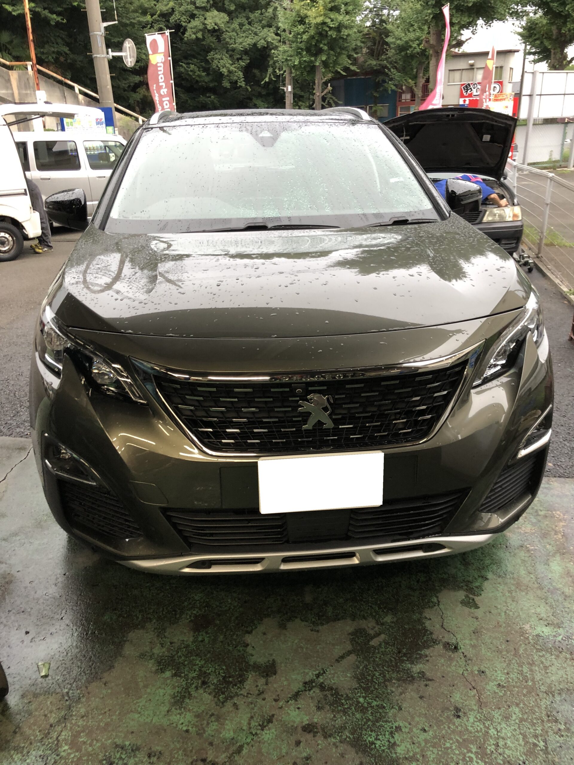 基本分解発送送料無料！完成車配送等ご相談ください！フェザー マジョーラ ピスト 基本分解発送送料無料！完成車配送等ご相談ください！フェザー